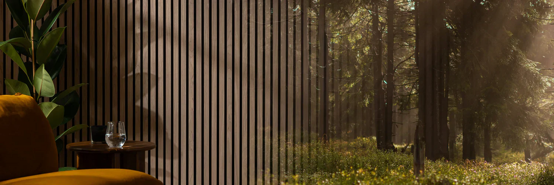 image for a brand piece blog showcasing nature and wall paneling